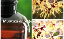 Έλαιο αμαμελίδος. Αναπλαστικό λάδι σύσφιξης.