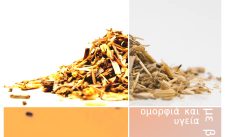 Αγριάδα ρίζα