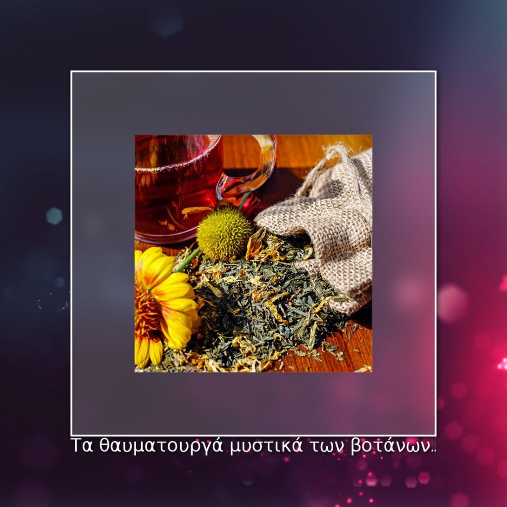 Μάθε για τα ελληνικά βότανα ..λύσε τις απορίες σου και βρες τα μυστικά κλειδιά για την θεραπεία σου!