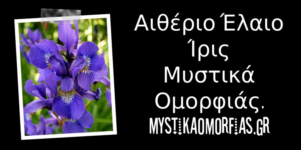 Αιθέριο Έλαιο Ίριδας.