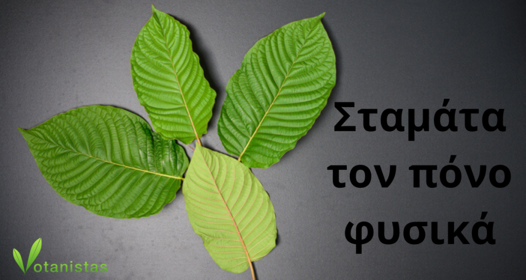 14 ΦΥΣΙΚΕΣ ΘΕΡΑΠΕΙΕΣ ΓΙΑ ΟΛΕΣ ΤΙΣ ΑΣΘΕΝΕΙΕΣ