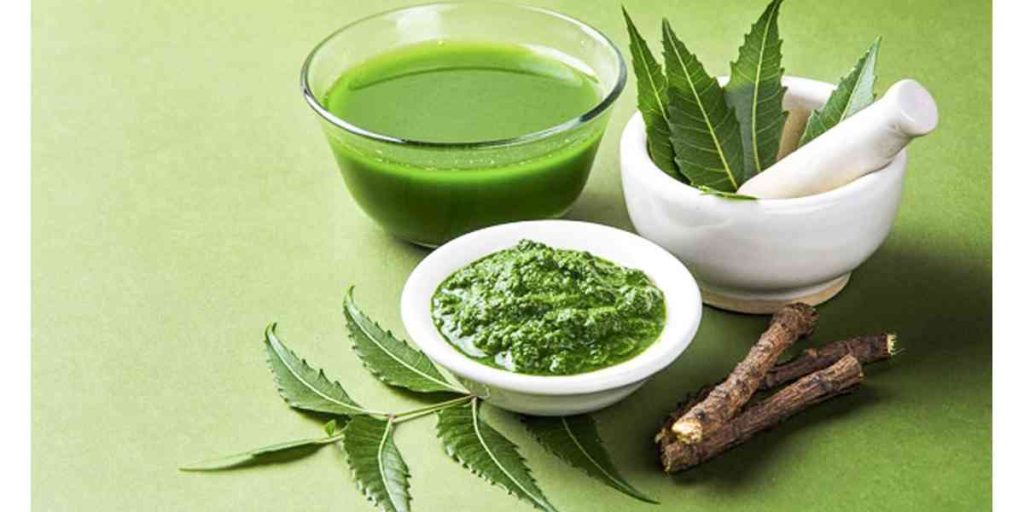 Δέντρο neem: ένας θησαυρός