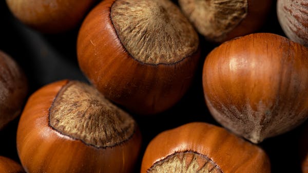 Κάστανο – το superfood: Η θρεπτική αξία και οι ευεργετικές του ιδιότητες στον οργανισμό