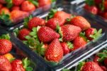 Φράουλες: Ο σίγουρος τρόπος για να απομακρύνετε τα φυτοφάρμακα