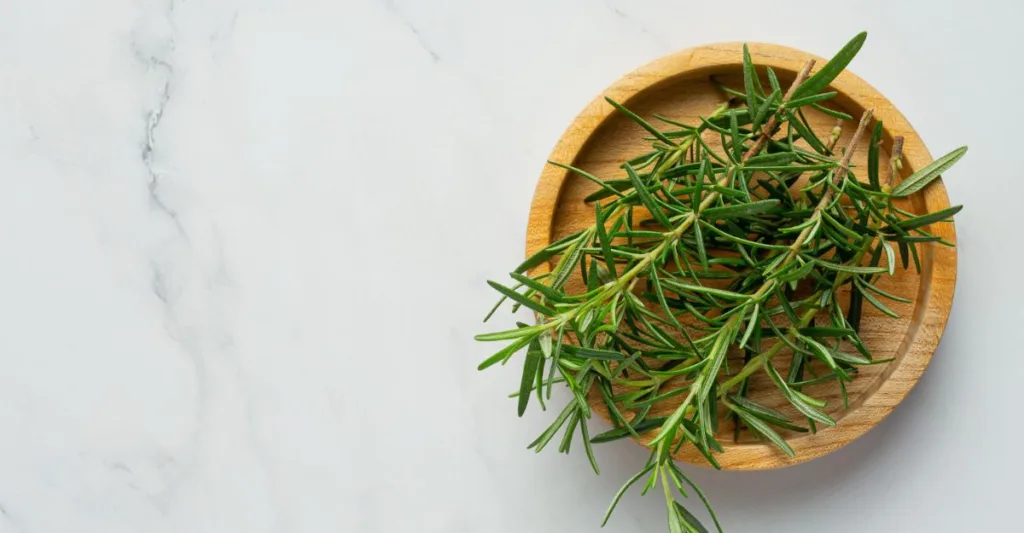 ΠΙΕΣ, ΜΥΡΙΣΕ, ΞΕΠΛΥΝΕ: ΤΡΕΙΣ ΤΡΟΠΟΙ ΝΑ ΒΑΛΕΙΣ ΤΟ ΔΕΝΤΡΟΛΙΒΑΝΟ ΣΤΗ ΖΩΗ ΣΟΥ