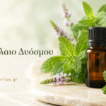 Αιθέριο Έλαιο Δυόσμου – Δροσερή αναζωογόνηση και φυσική φρεσκάδα