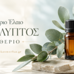Αιθέριο Έλαιο Ευκάλυπτος – Καθαρή αναπνοή και αναζωογονητική φρεσκάδα