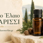 Αιθέριο Έλαιο Κυπαρίσσι – Τόνωση, φρεσκάδα και φυσική ισορροπία