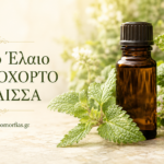 Αιθέριο Έλαιο Μελισσόχορτο – Μέλισσα: Ηρεμία, ισορροπία και απαλή φροντίδα