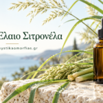 Αιθέριο Έλαιο Σιτρονέλα – Δροσερή προστασία και αναζωογονητική ευεξία