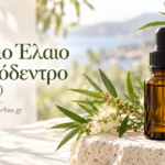 Αιθέριο Έλαιο Τσαγιόδεντρο – Η φυσική δύναμη της καθαρής επιδερμίδας